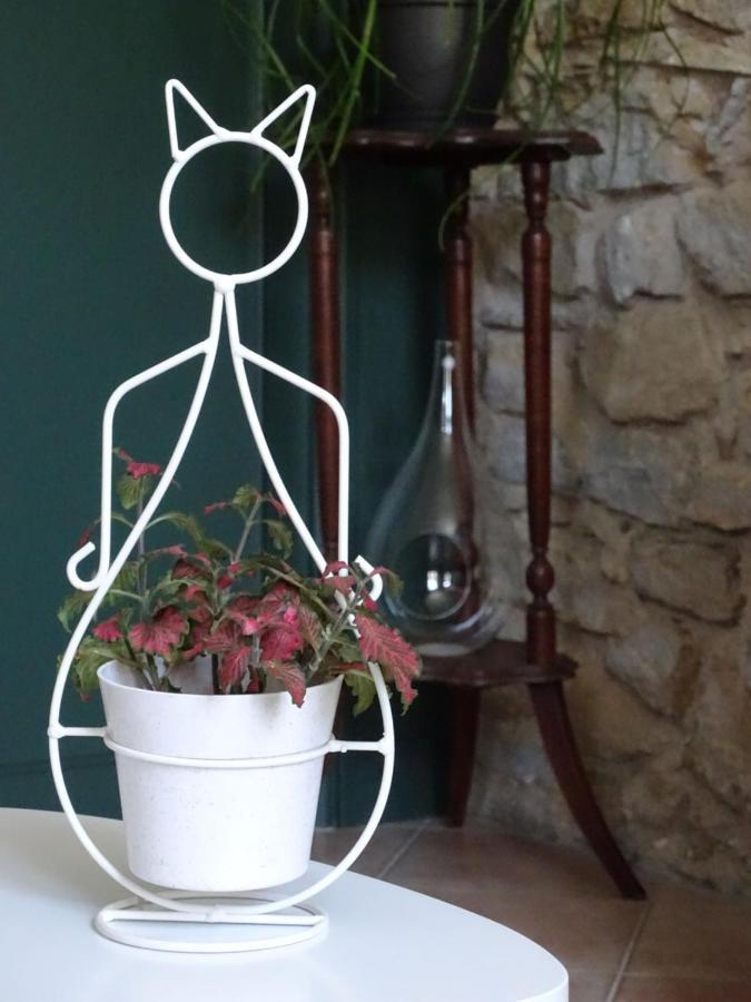 Bed and Breakfast A la Vill'Adour Dax Exterior foto